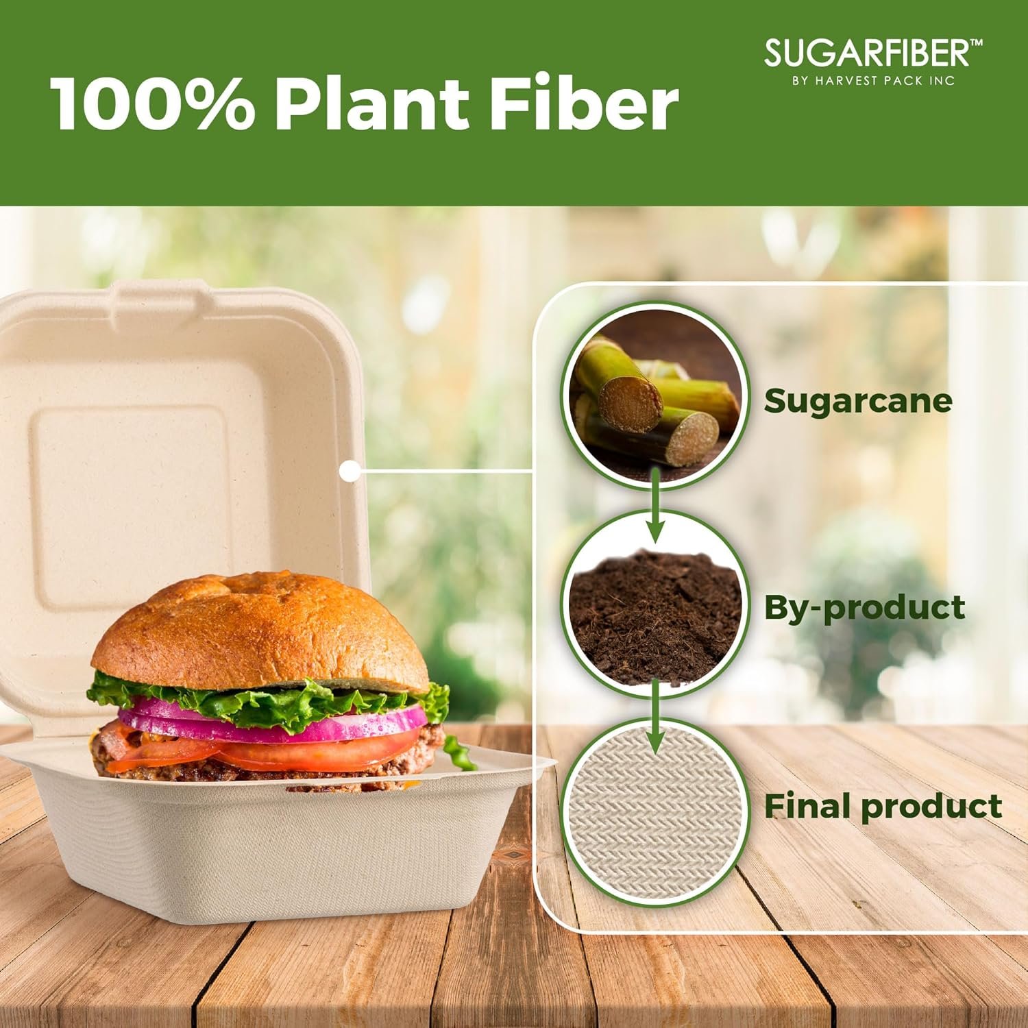 Contenedores de comida compostables [50 UNIDADES] con logo personalizado, 6 x 6