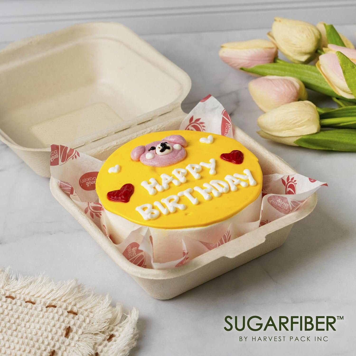 Contenedores de comida compostables [50 UNIDADES] con logo personalizado, 6 x 6