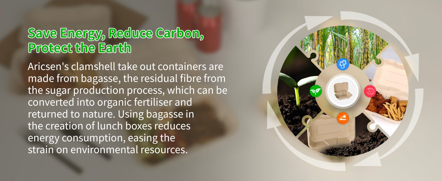 Logo Personalizado Cajas de Almuerzo Desechables Biodegradables de 100 Unidades 9x6 Pulgadas con Tapa Eco-Friendly Clamshell para Comida Marca Blanca Proveedor Logo Personalizado Cajas de Almuerzo Desechables Biodegradables de 100 Unidades 9x6 Pulgadas con Tapa Eco-Friendly Clamshell para Comida Marca Blanca Proveedor