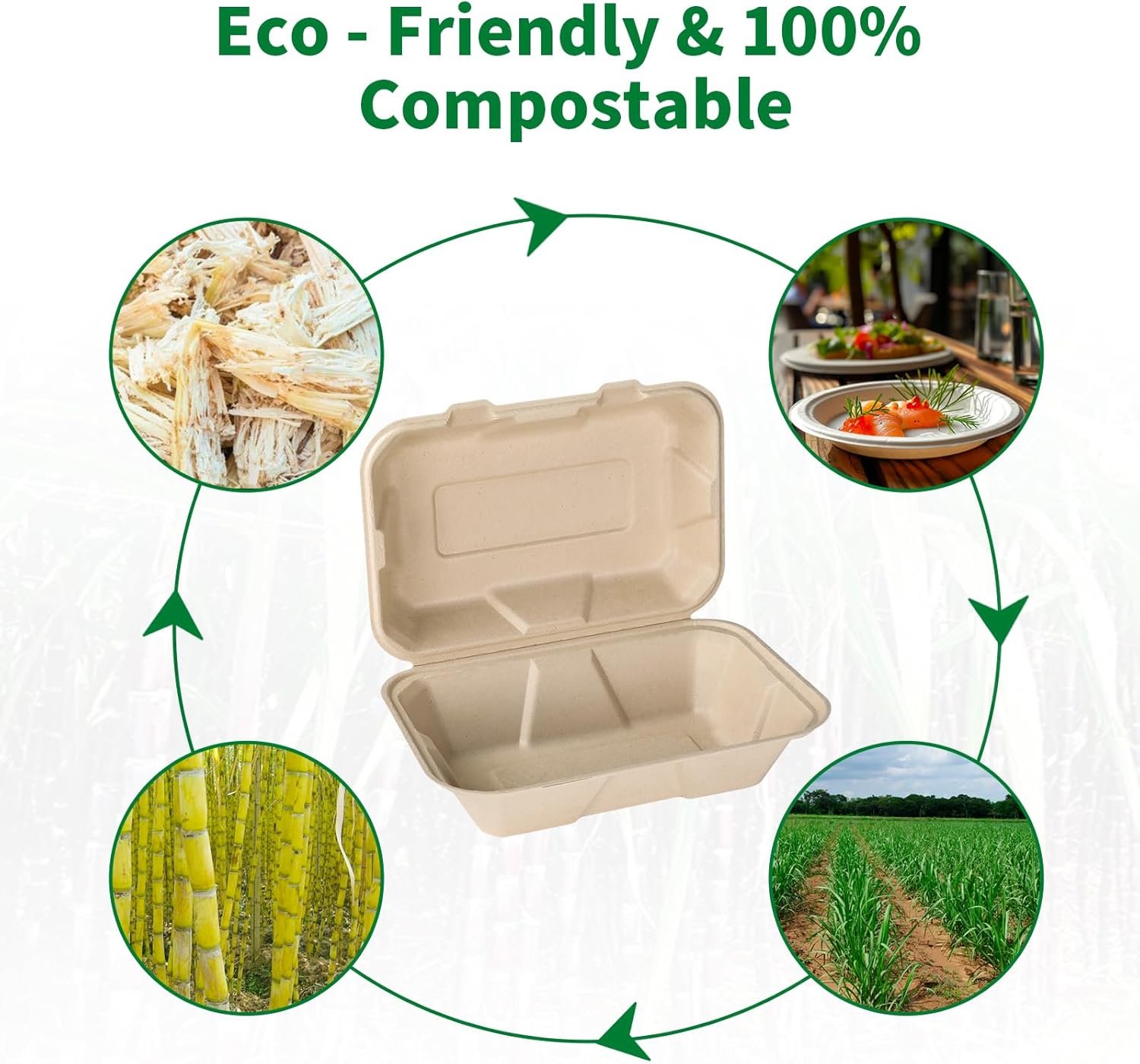 Logo Personalizado Cajas de Almuerzo Desechables Biodegradables de 100 Unidades 9x6 Pulgadas con Tapa Eco-Friendly Clamshell para Comida Marca Blanca Proveedor Logo Personalizado Cajas de Almuerzo Desechables Biodegradables de 100 Unidades 9x6 Pulgadas con Tapa Eco-Friendly Clamshell para Comida Marca Blanca Proveedor