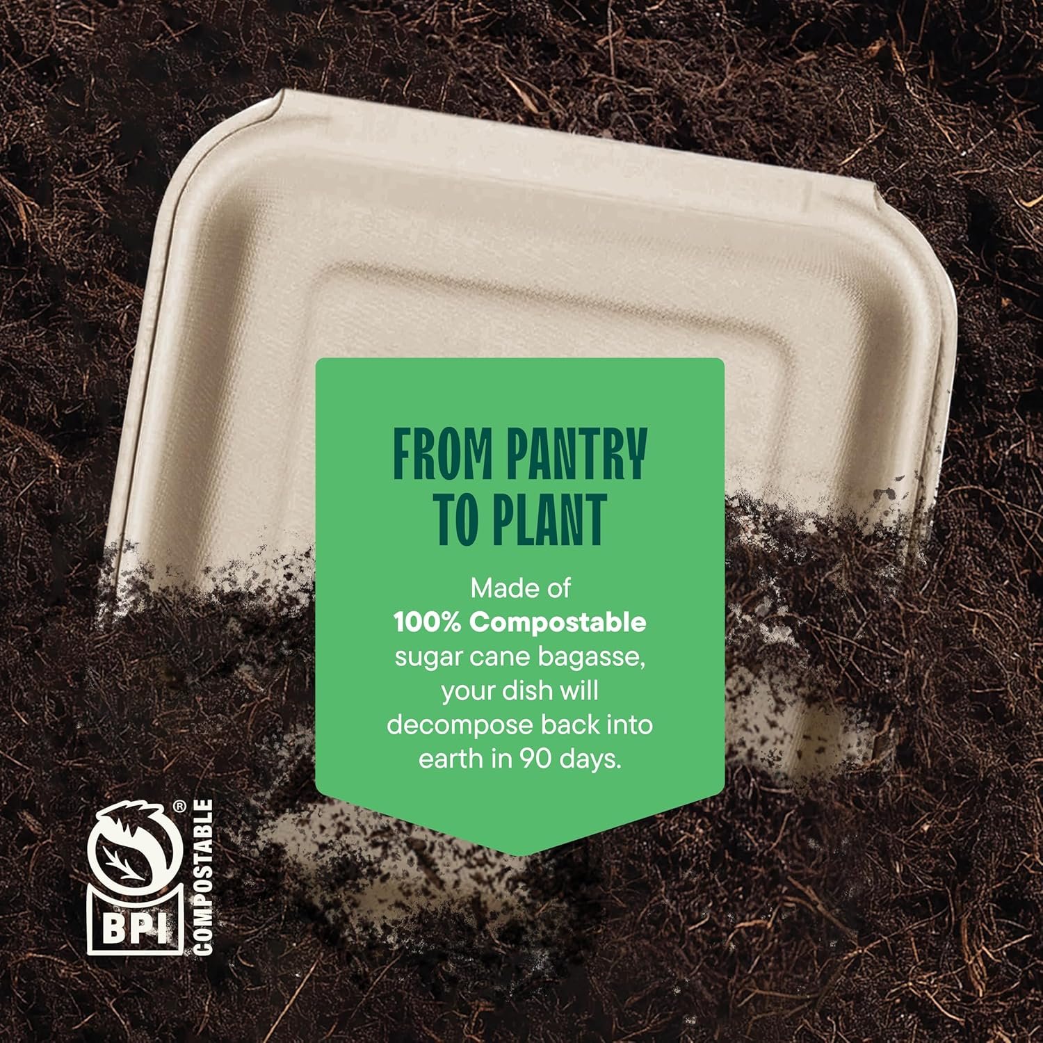 Logo Personalizado Envases de Comida para Llevar Compostables 100% [8X8
