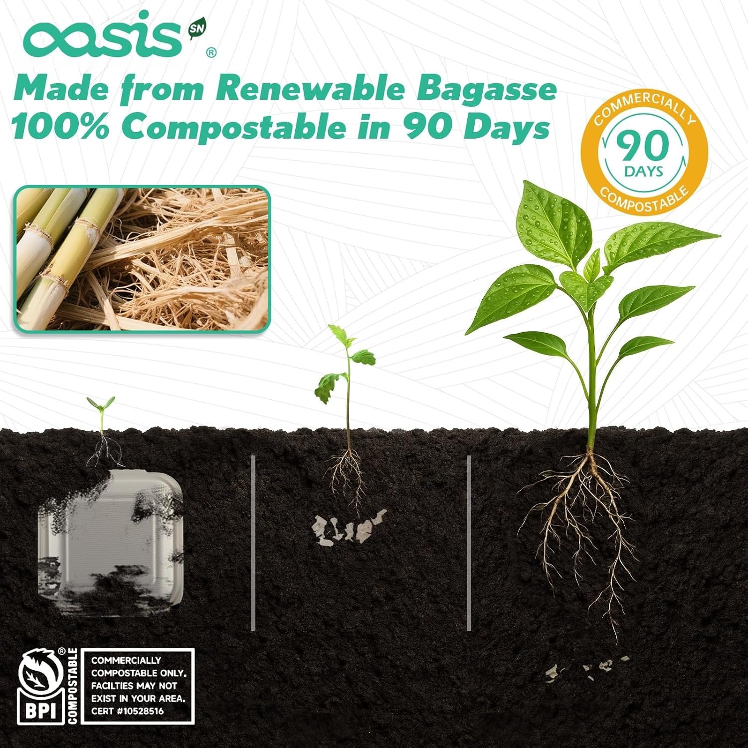 Logo Personalizado 6x6