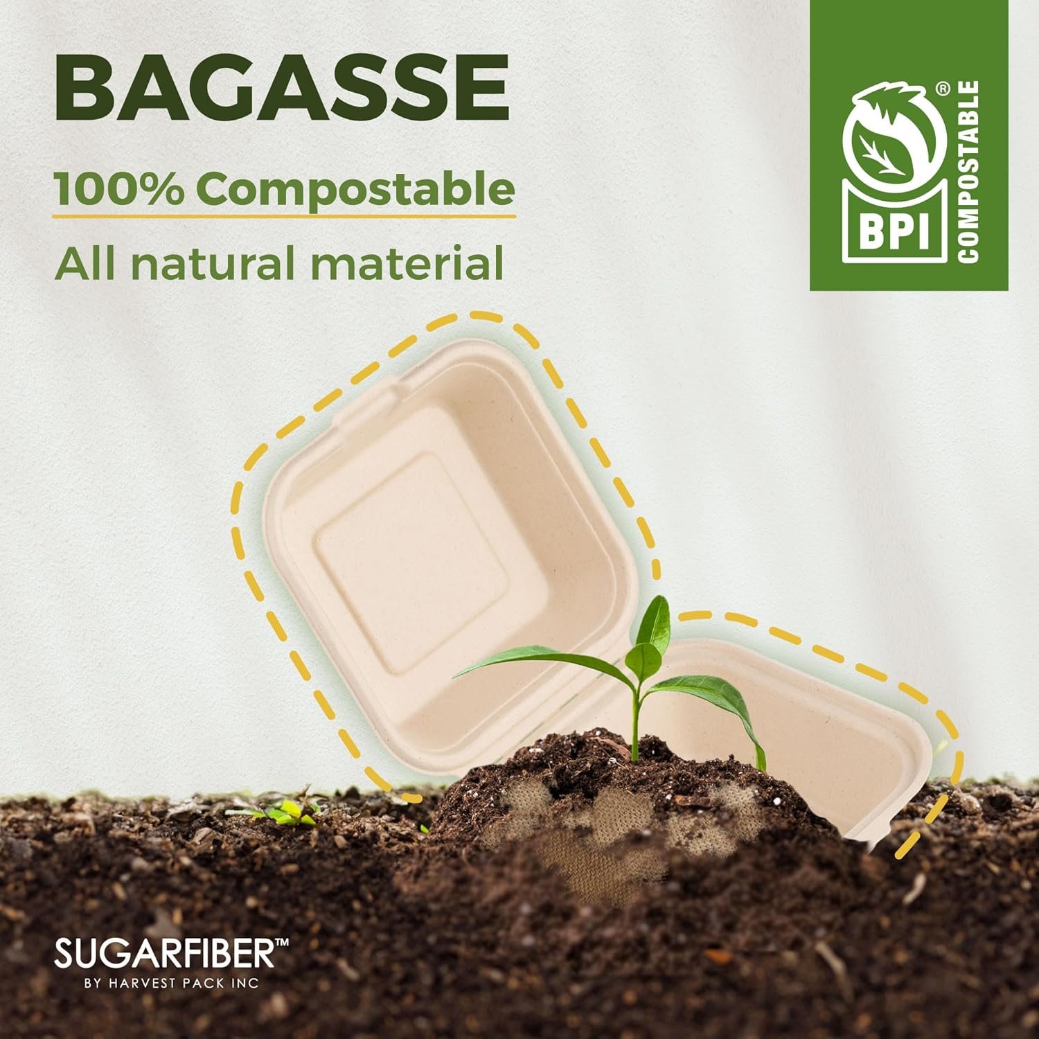 Logo Personalizado Envases Compostables de 50 Unidades 9 x 6