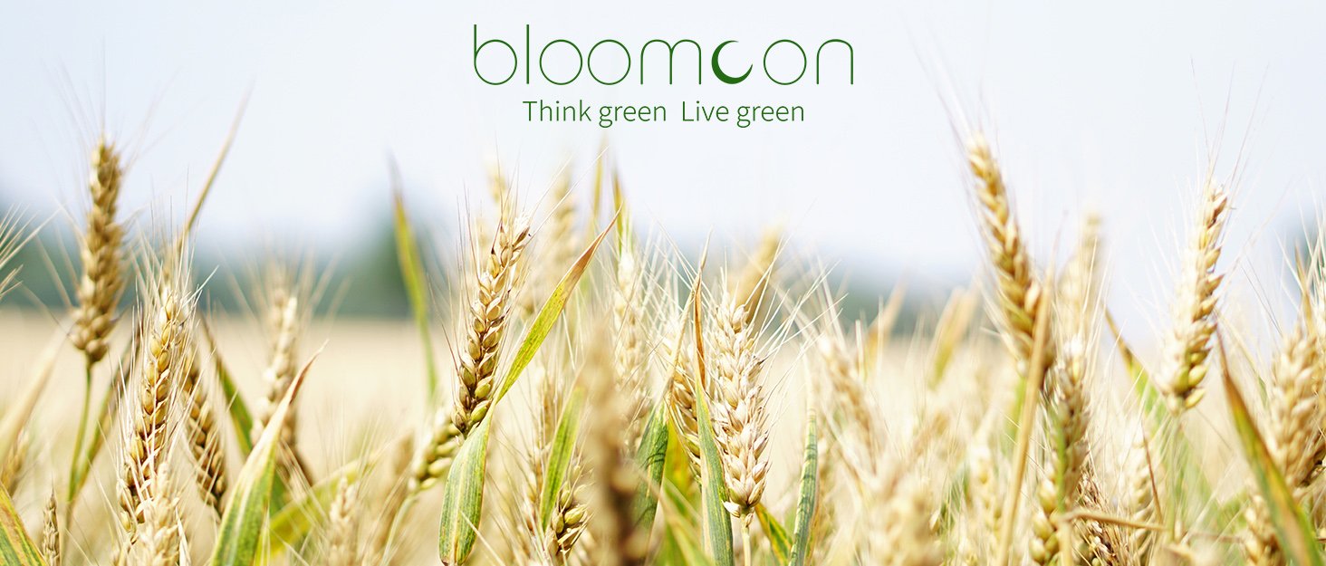 Contenedores de comida de papel de 16 oz con tapas, 60 unidades, personalización de logo, ideales para helados y sopas, soluciones de marca blanca de fábrica. Contenedores de comida de papel de 16 oz con tapas, 60 unidades, personalización de logo, ideales para helados y sopas, soluciones de marca blanca de fábrica.